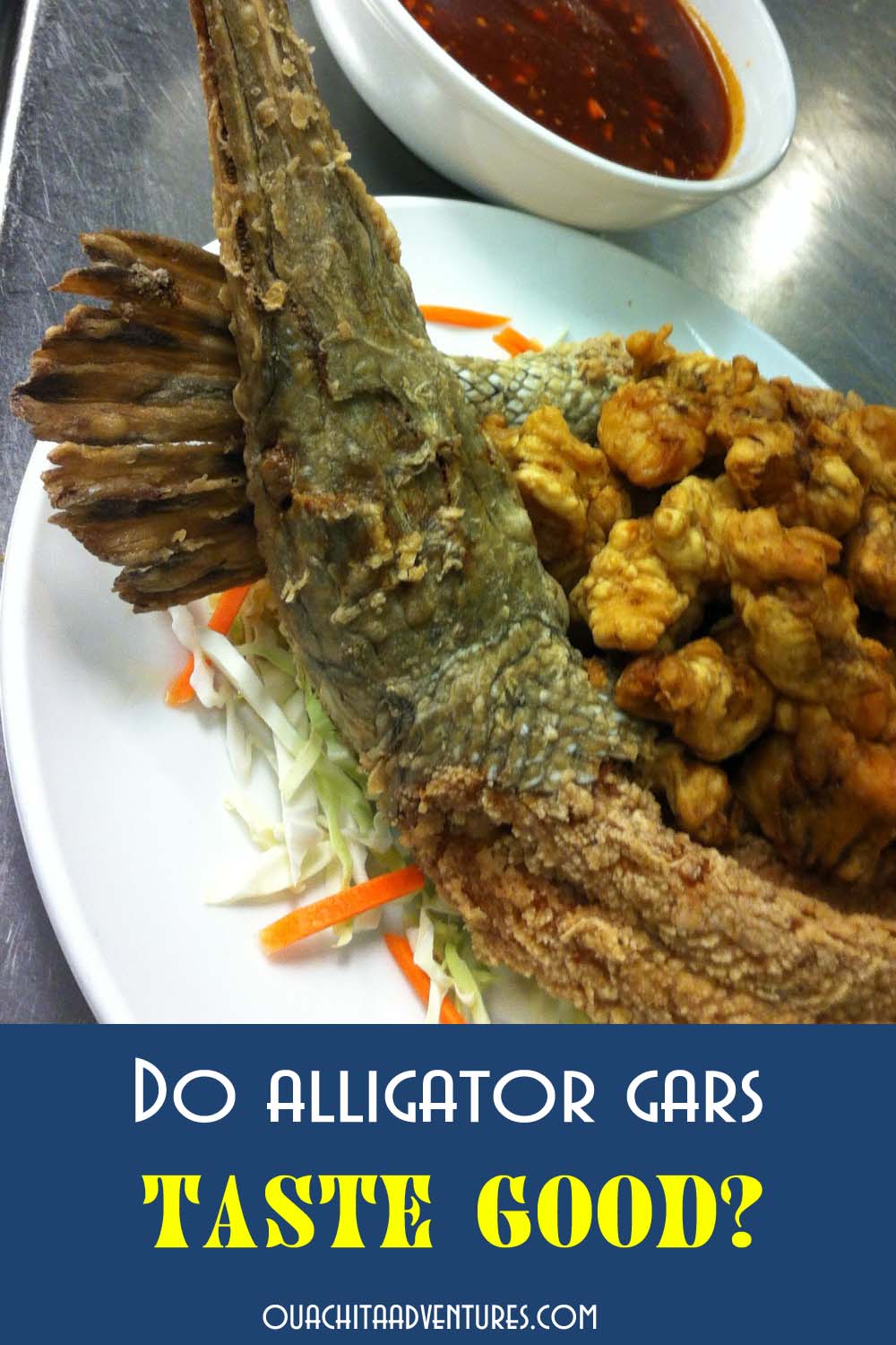 Do alligator gars taste good?