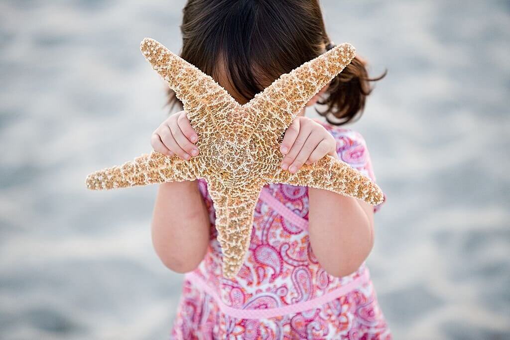 Is starfish good for your health