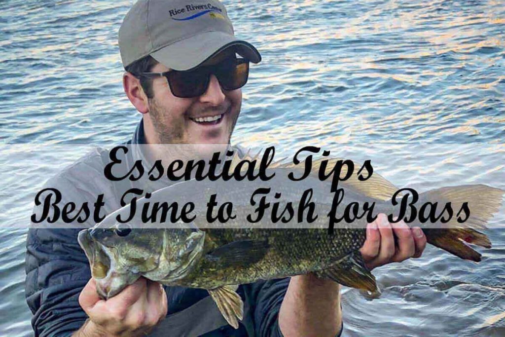 Best Time to Fish for Bass