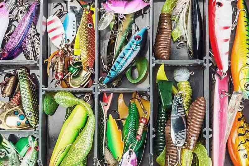 Choose the Right Lures