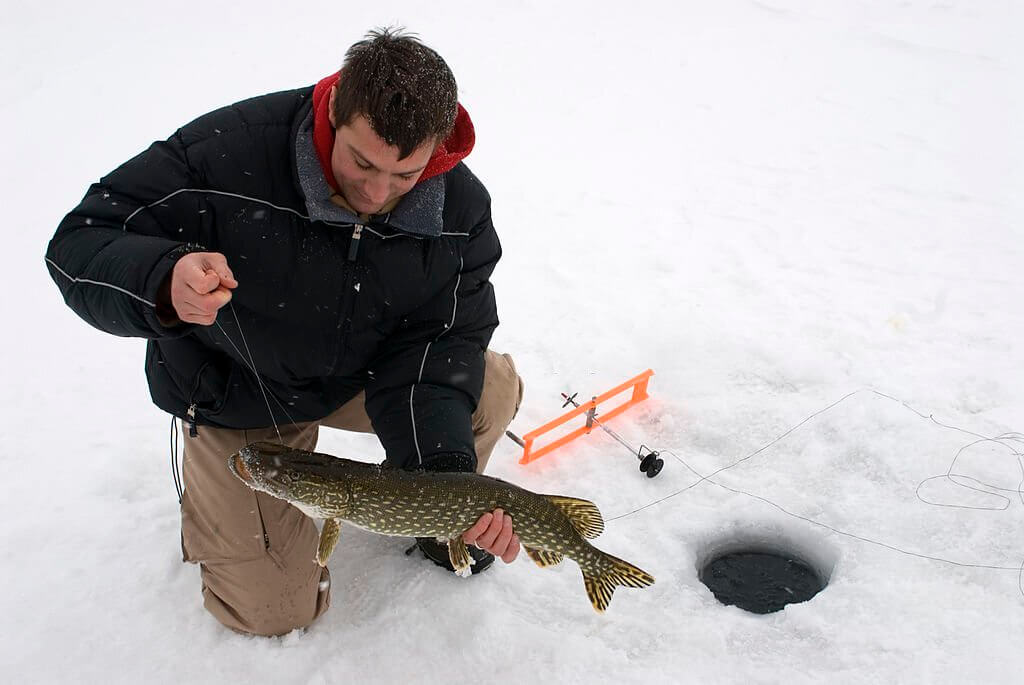 Choosing the Best Ice Fishing Lures