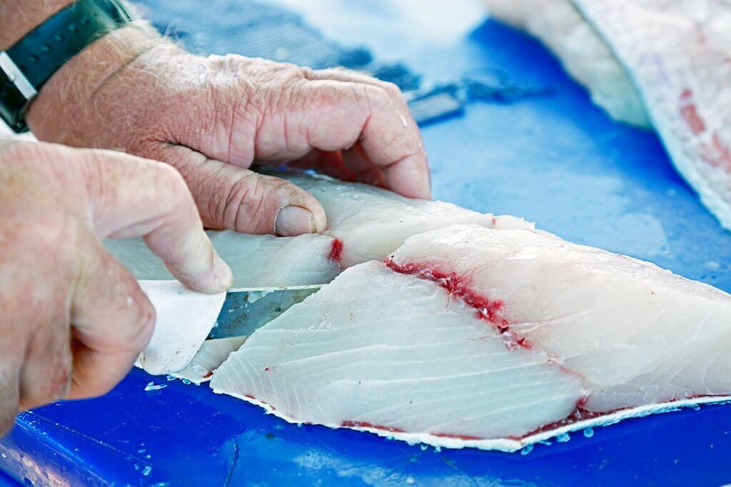 How To Fillet Wahoo