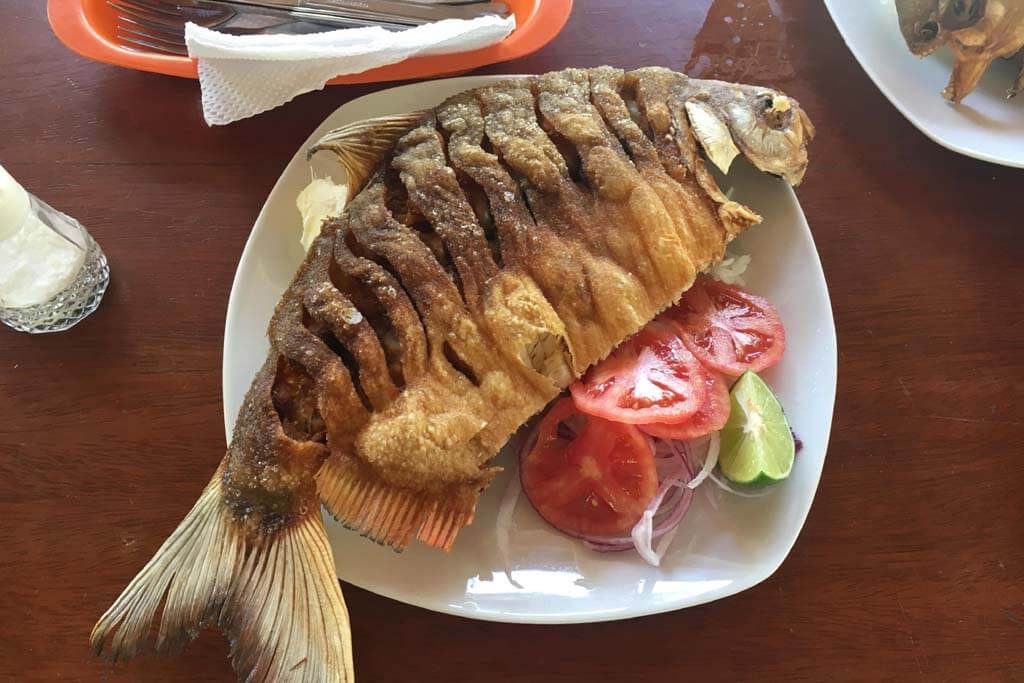 Eat Piranha fish poisonous