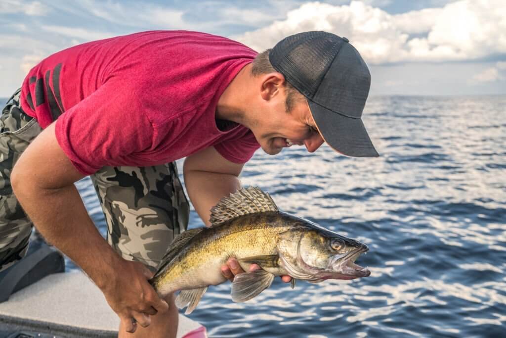Lake Erie Walleye Fishing Tips