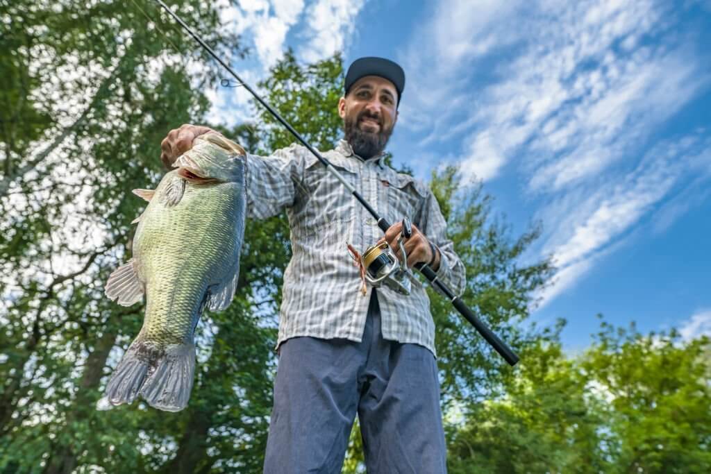 When are largemouth bass most active