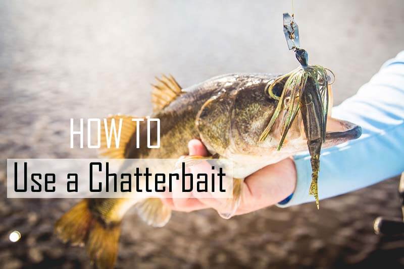 how to user a chatterbait