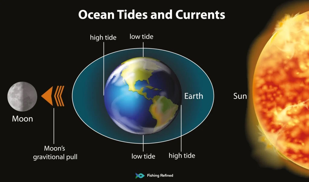 ocean tides and the moons gravitational