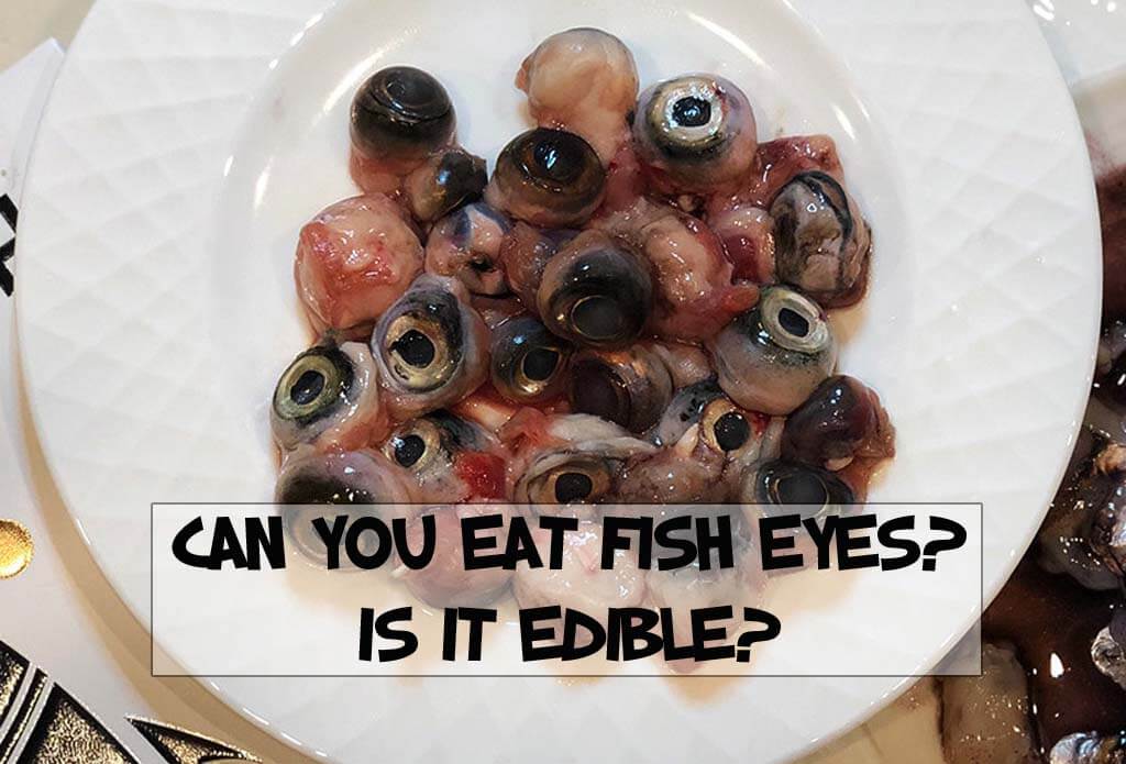 Can You Eat Fish Eyes