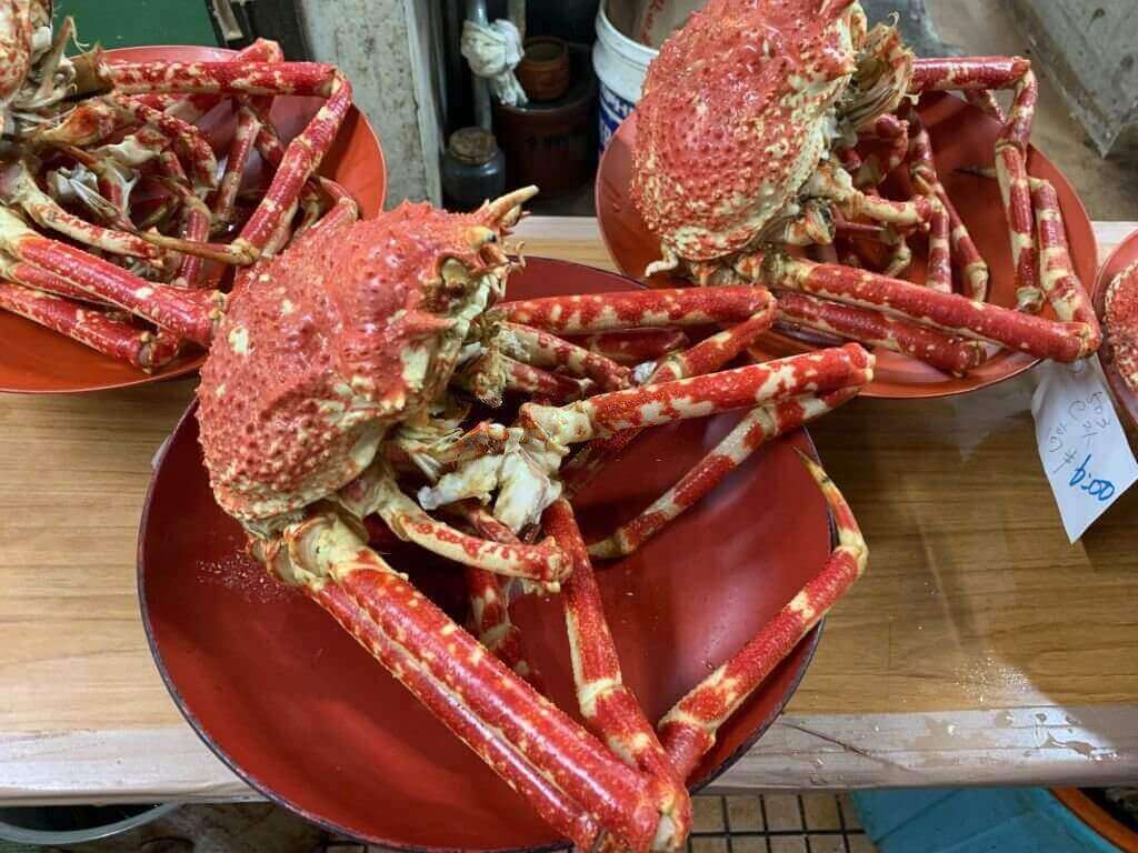 Can You Eat Spider Crab