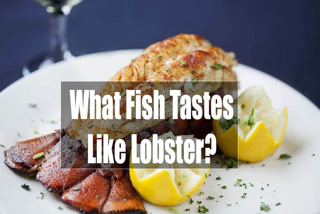 What Fish Tastes Like Lobster