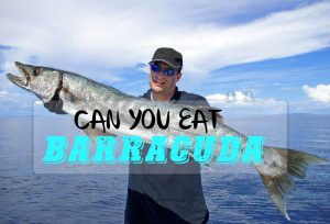 Can You Eat Barracuda? How to cook it?