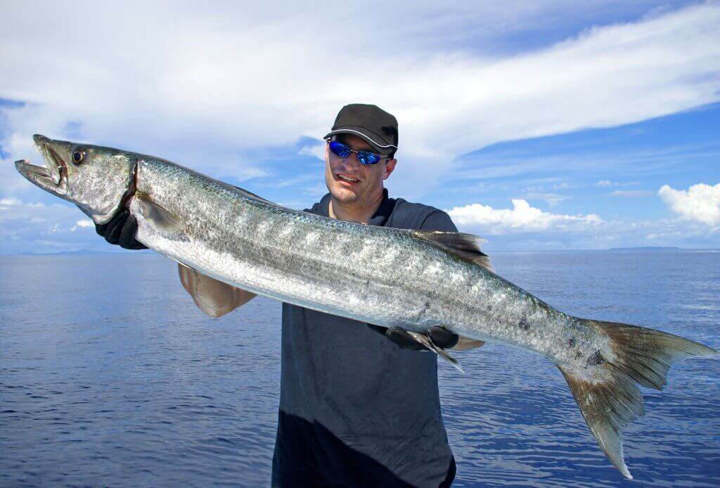 Are Barracuda Good to Eat?