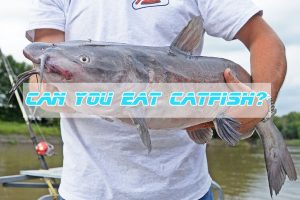 Can You Eat Catfish?
