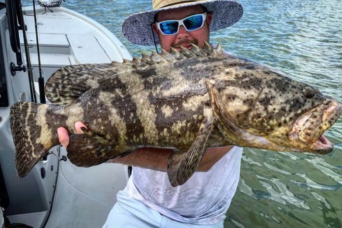 Can You Eat Goliath Grouper? | ouachitaadventures.comouachitaadventures.com
