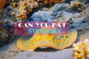 Can You Eat Stingray? It’s Safe to Eat?