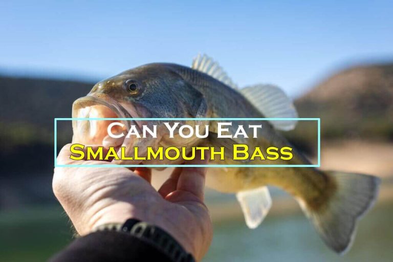 Can You Eat Smallmouth Bass?
