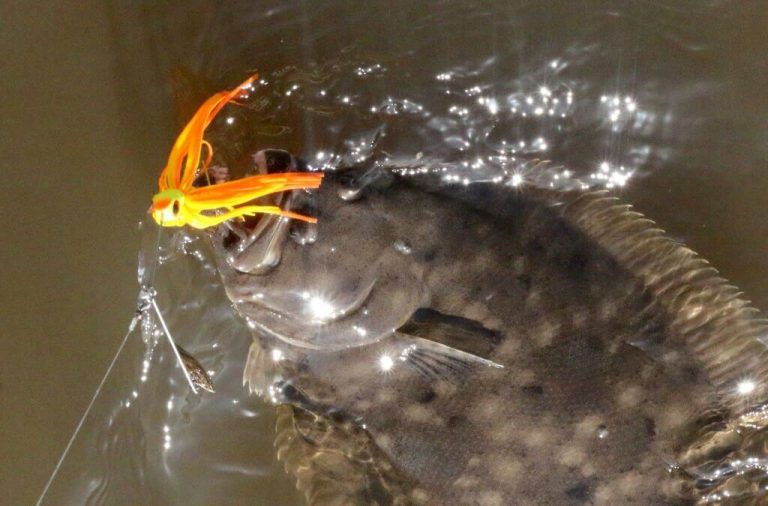 Can You Eat Flounder? Safety and Health Benefits