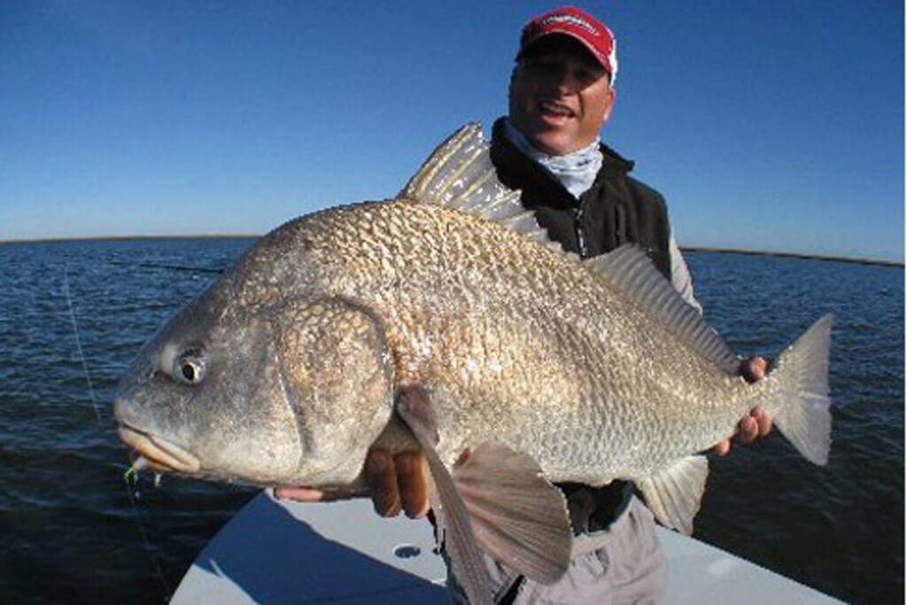 How to Catch a Black Drum Fishing