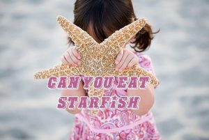 Can You Eat Starfish And Is It Safe?