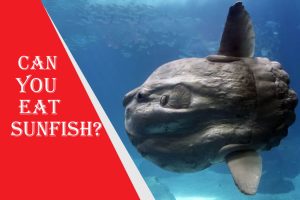 Can you eat sunfish? It Safe?