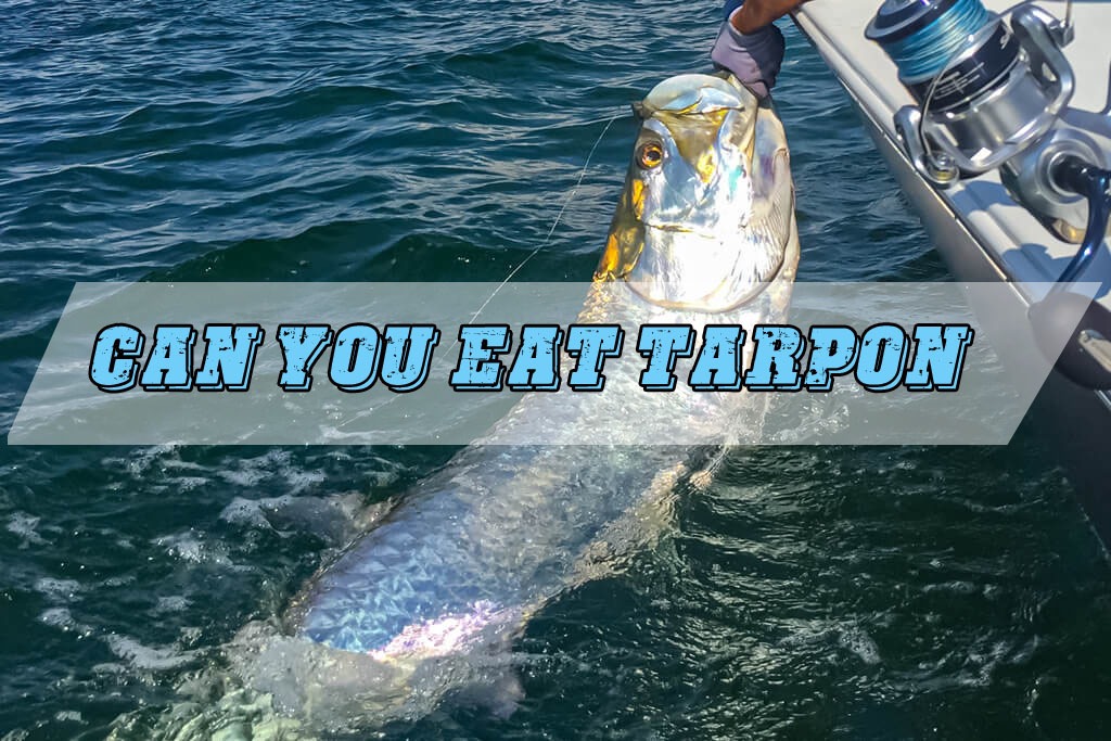 Can you eat tarpon