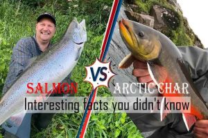 Arctic Char vs Salmon – Interesting facts you didn’t know