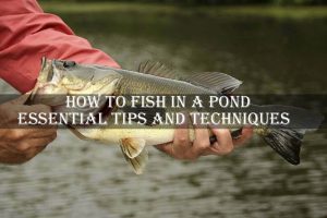 How to Fish in a Pond: Essential Tips and Techniques