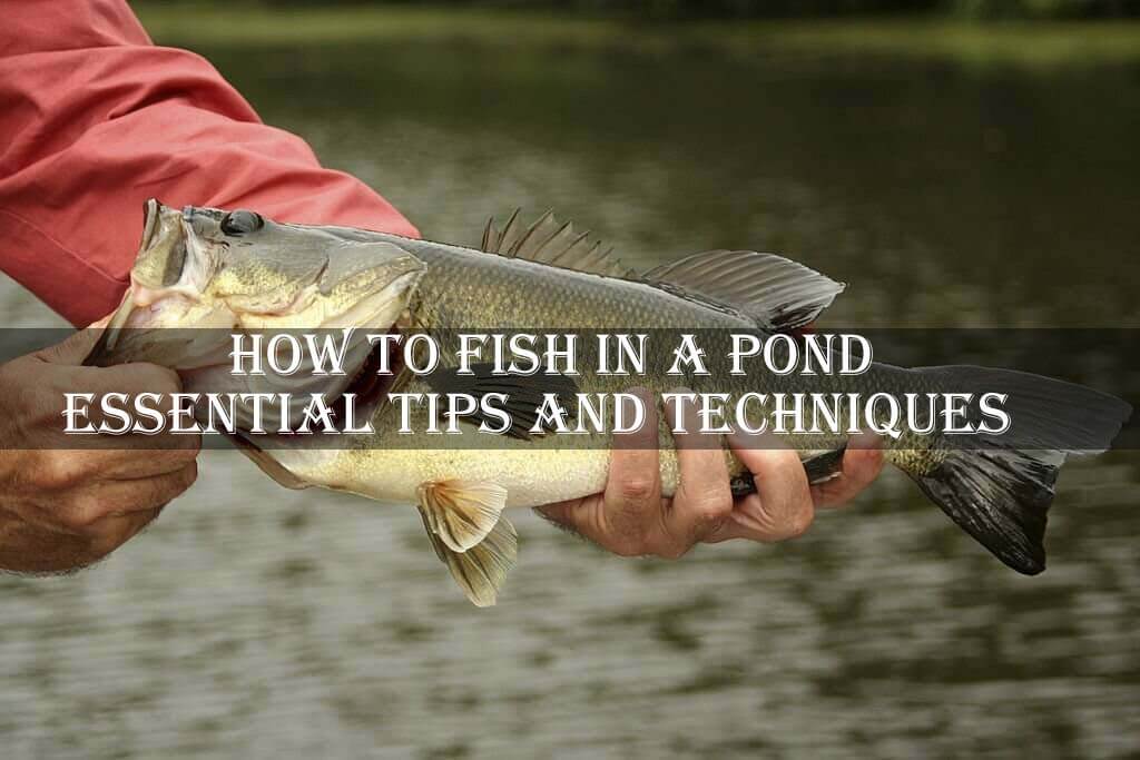 Bass Fishing Ponds Essential Tips and Techniques