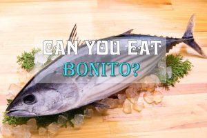 Can You Eat Bonito? It Good to Eat?