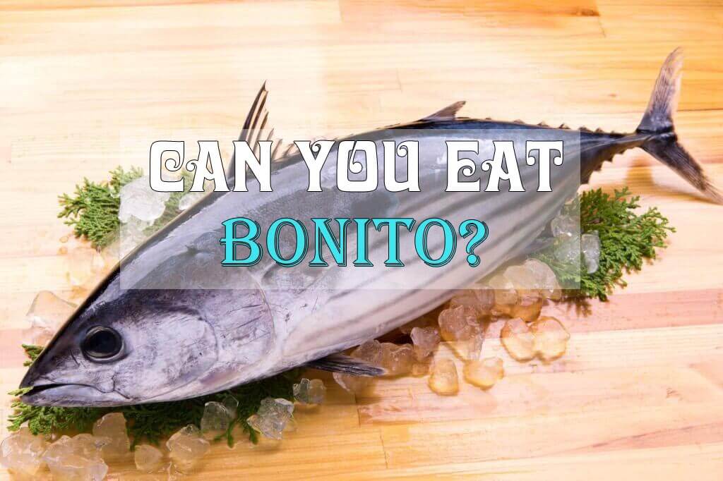 Can You Eat Bonito fish thumbnail