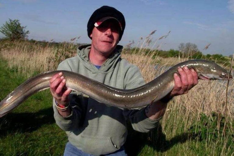 Can You Eat Eel and How Does It Taste?