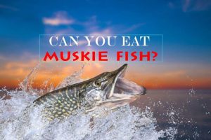 Can You Eat Muskie Fish?
