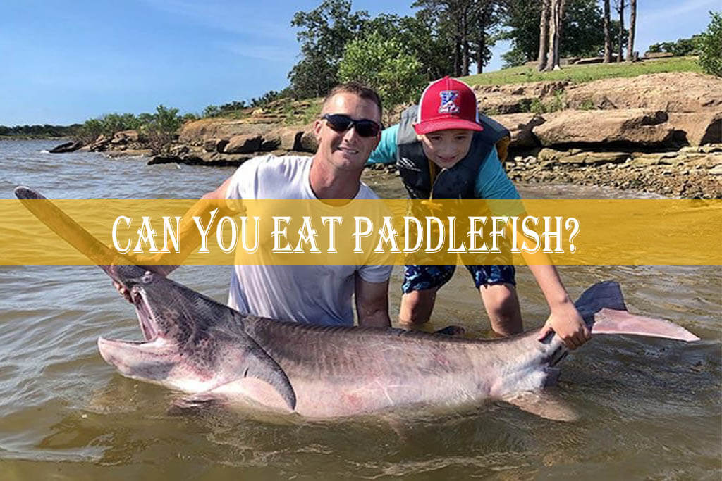 Can You Eat Paddlefish thumbnail
