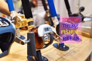 Different Types of Reels : Tips For Choosing and Using