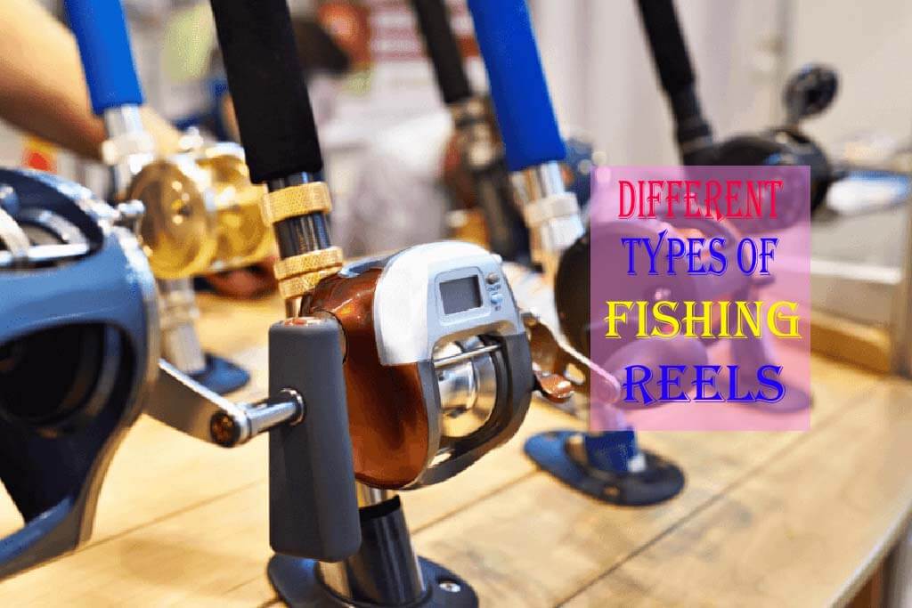 Different Types of Reels
