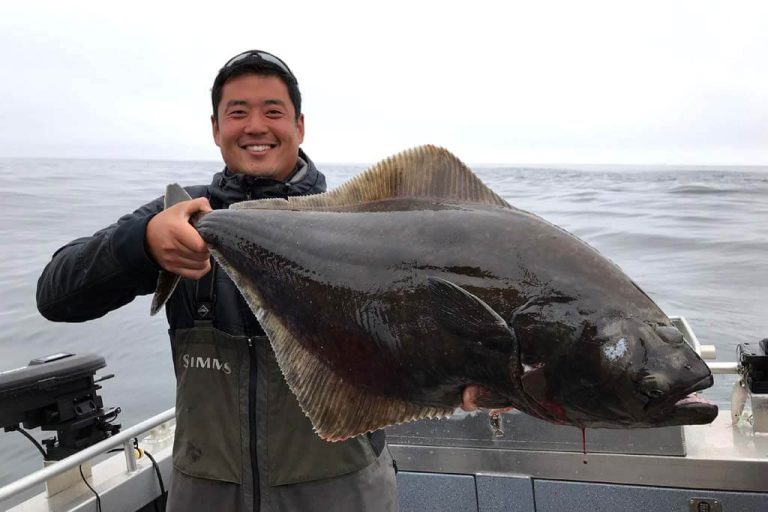 Halibut Vs Flounder Which one is more