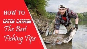 How to Catch Catfish: The Best Fishing Tips