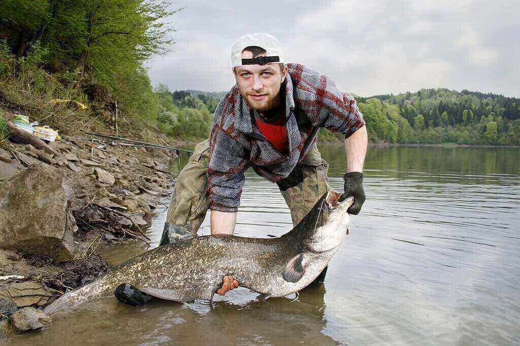 How to Catch Catfish