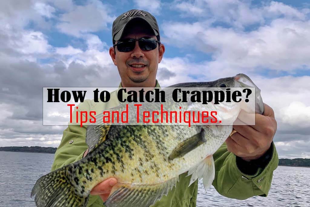 How to Catch Crappie Tips and Techniques