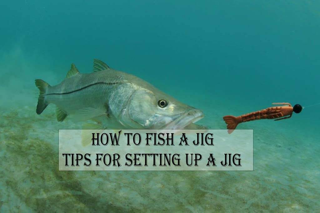 How to Fish a Jig Tips for Setting Up a Jig
