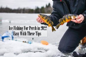 Ice Fishing For Perch in 2022: Easy With These Tips