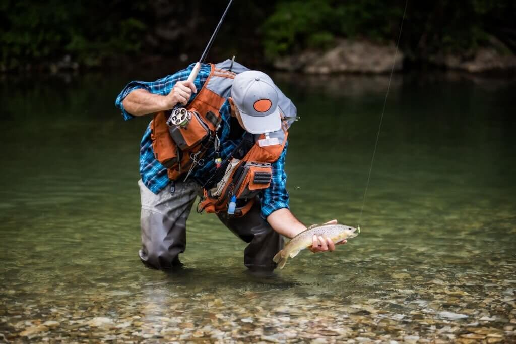Pro Tips on Fishing for Trout