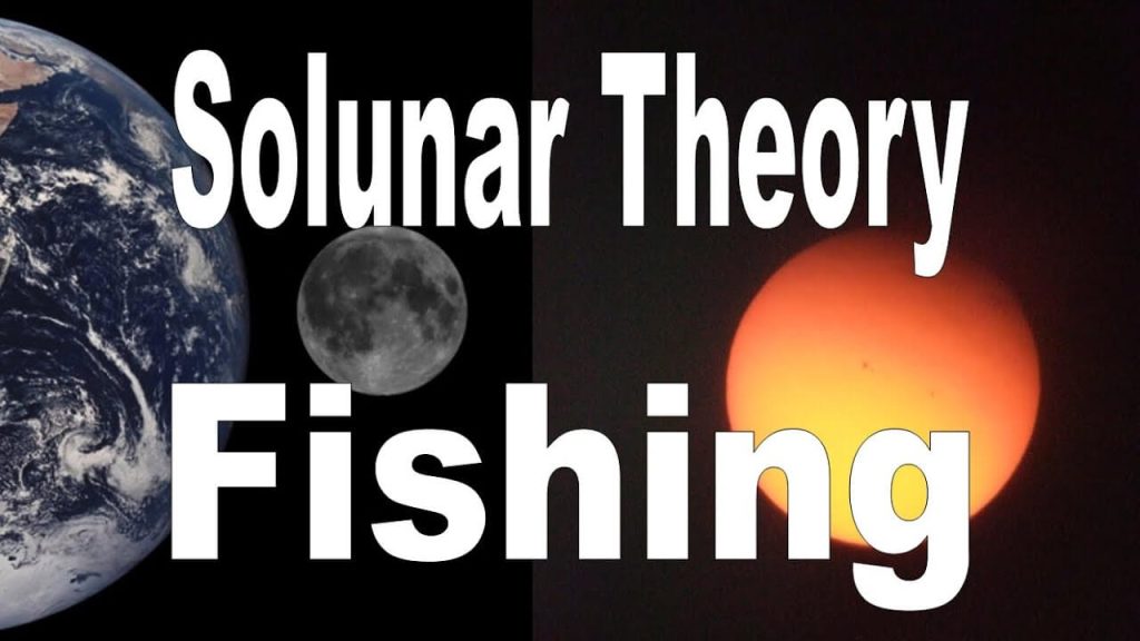 Solunar theory