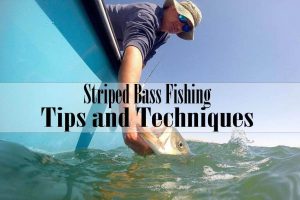 Striped Bass Fishing Tips and Techniques