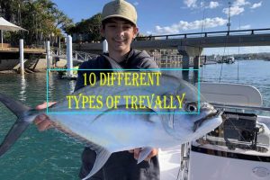 10 Different Types Of Trevally
