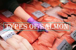 Types of Salmon: The Complete Guide