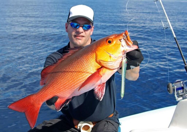 12 Types of Snapper to Catch In Florida The Quick Guide