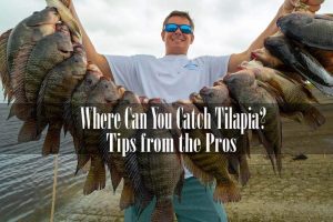 Where Can You Catch Tilapia? Tips from the Pros