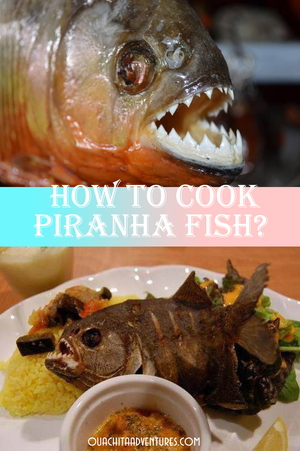 How to cook Piranha fish