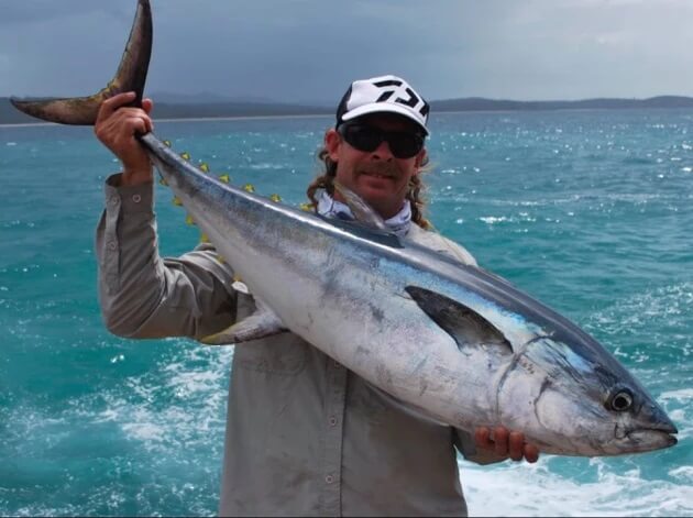 Longtail Tuna